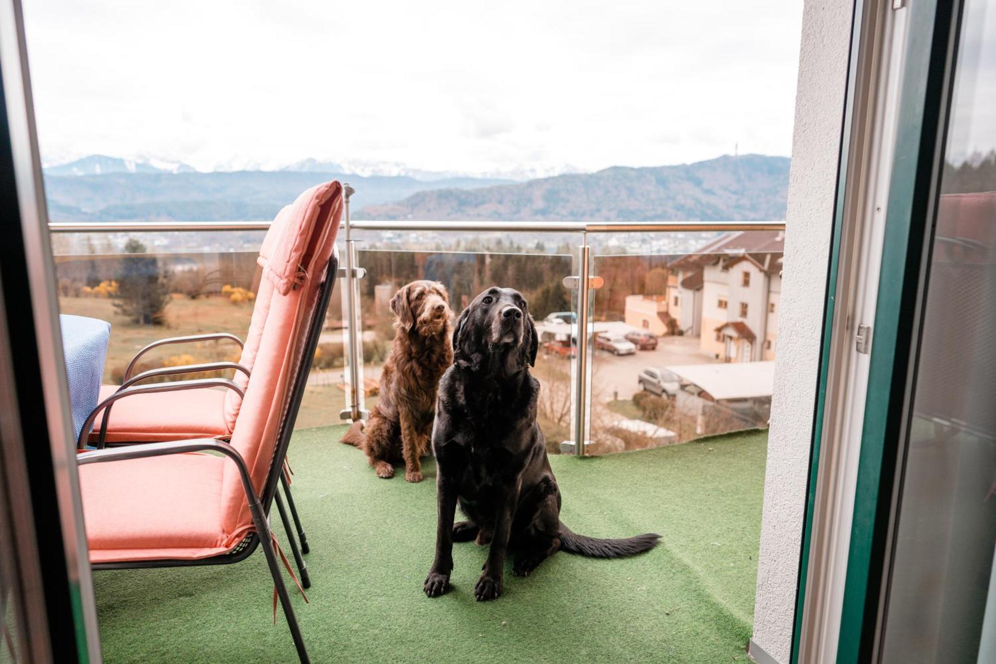 Urlaub Fuer Mensch Und Tier - Appartements Pirkhof Pörtschach am Wörthersee المظهر الخارجي الصورة